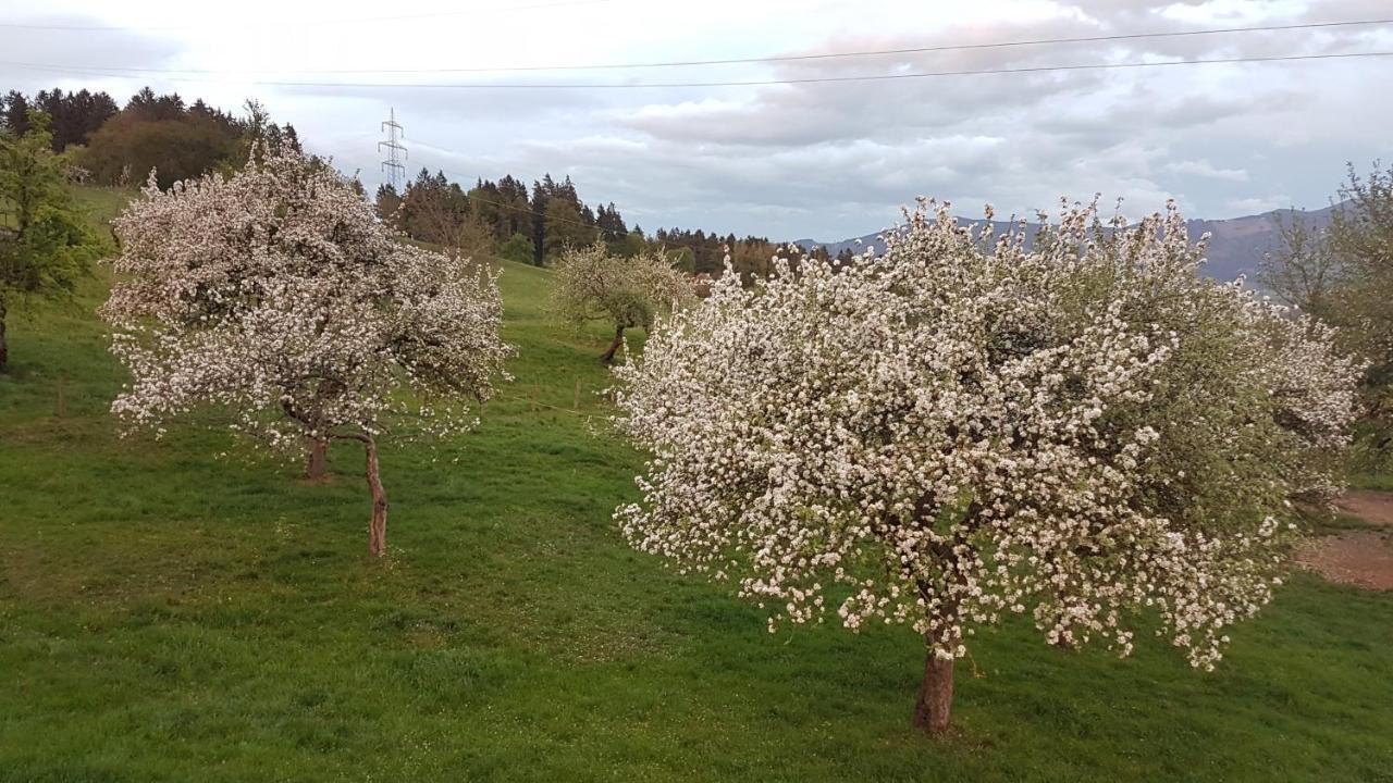 Ferienwohnungen Klimbacher Wolfsbergi járás Kültér fotó