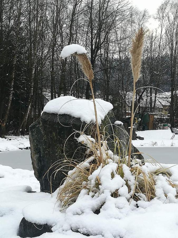 Ferienwohnungen Klimbacher Wolfsbergi járás Kültér fotó